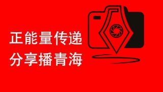 海晏县 精准发力稳就业 提质增效惠民生
